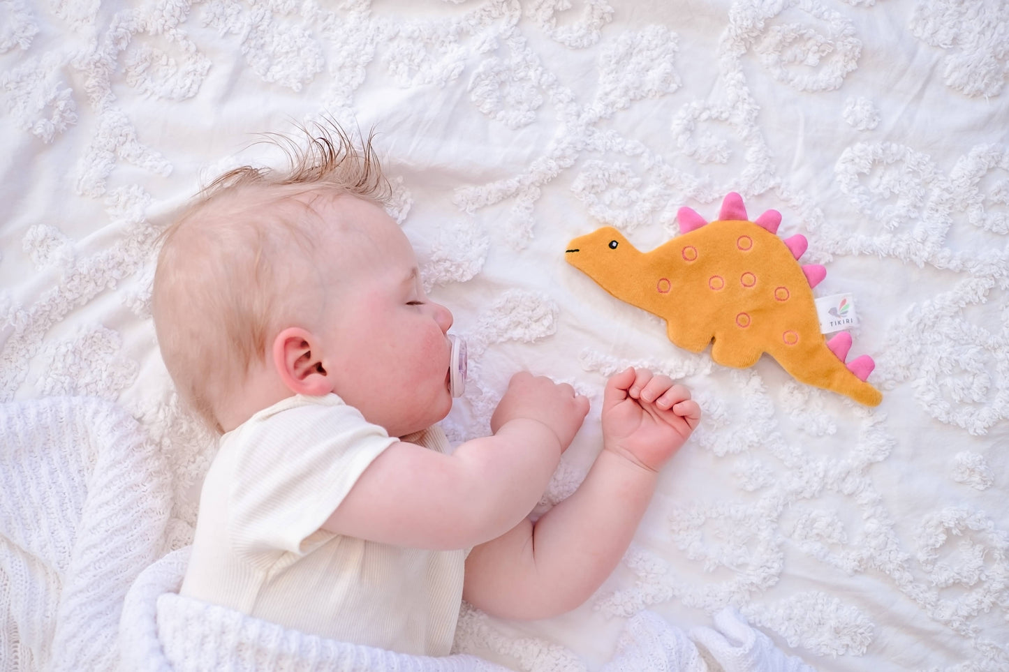Stegosaurus Crinkle Toy