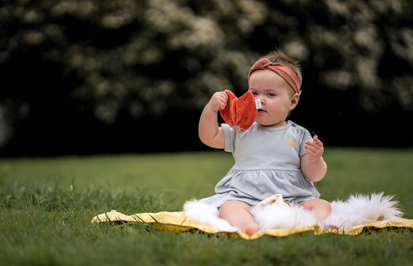 Ladybug Crinkle Toy