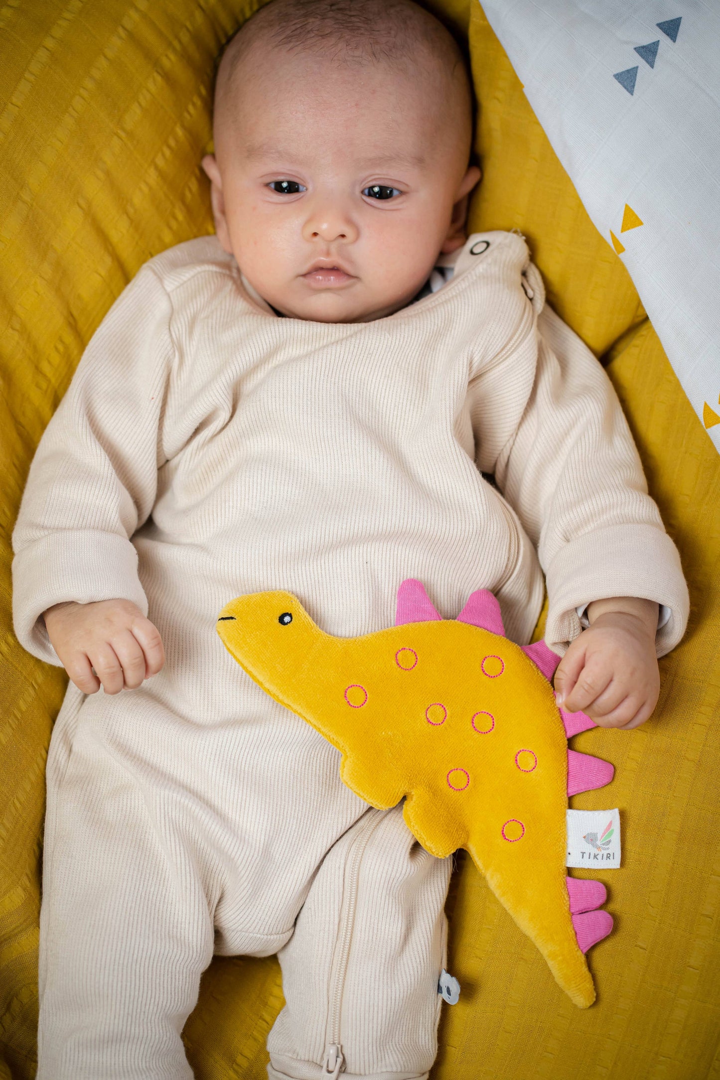 Stegosaurus Crinkle Toy