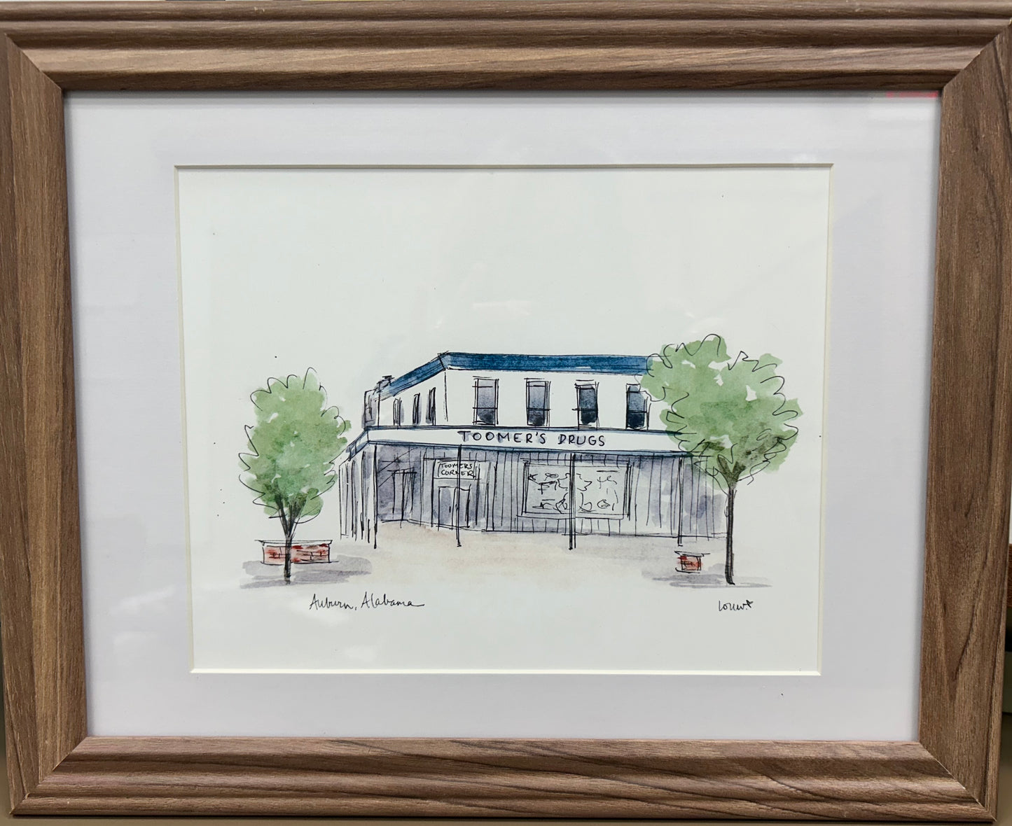 AU Toomer's Corner Auburn Watercolor  Framed Print